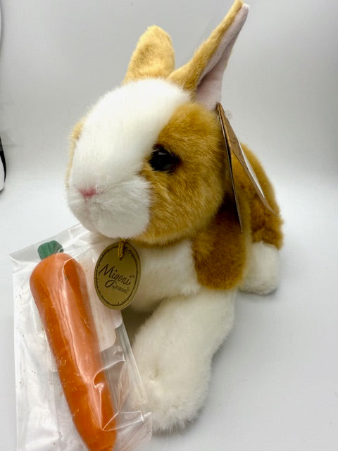 Dutch Rabbit, Miyoni by Aurora