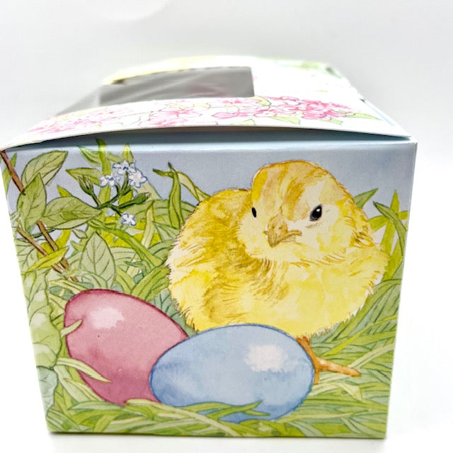 Small Surprise Chocolate Egg and Candy Boxed