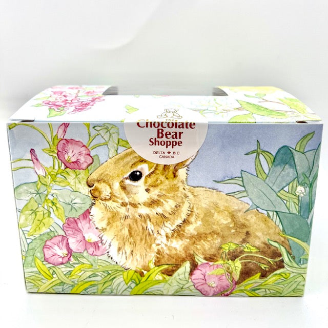 Small Surprise Chocolate Egg and Candy Boxed