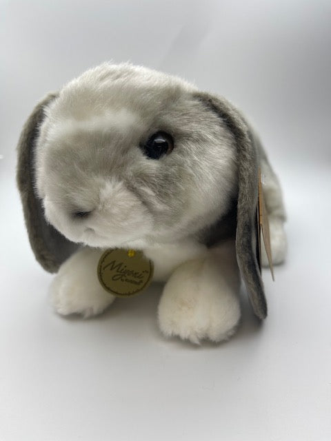 Holland Lop Rabbit Grey, Aurora